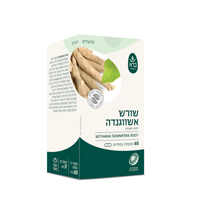 שורש אשווגנדה - ויתניה משכרת ברא 60 כמוסות – תמונה 2