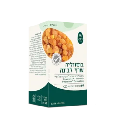 Alternative view of לבונה (בוסווליה) | 60 כמוסות | ברא