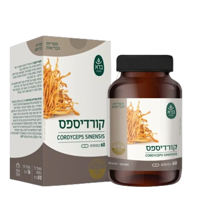 כמוסות קורדיספס Cordyceps sinensis | ברא | 60 כמוסות