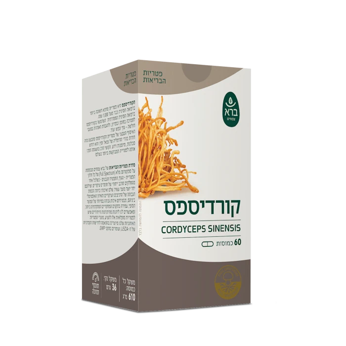 כמוסות קורדיספס Cordyceps sinensis | ברא | 60 כמוסות – תמונה 2