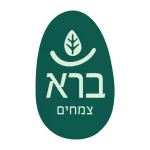ברא Bara